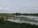 bords de Loire de Lestiou à Tavers